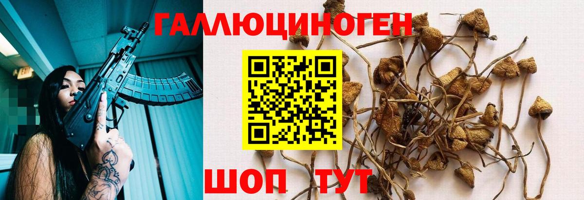 Керчь  Псилоцибиновые грибы Psilocybe  Вход с VPN 